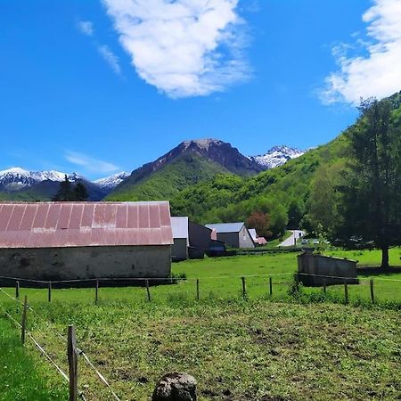 올루스 레방 Sejour Cocooning Pour Se Ressourcer A La Montagne. 아파트 외부 사진